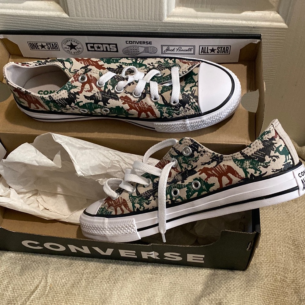 Brand New Converse shoes